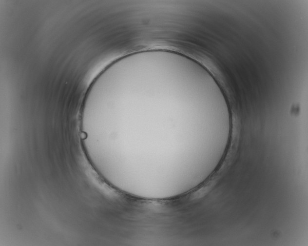X0000112200814200909041315