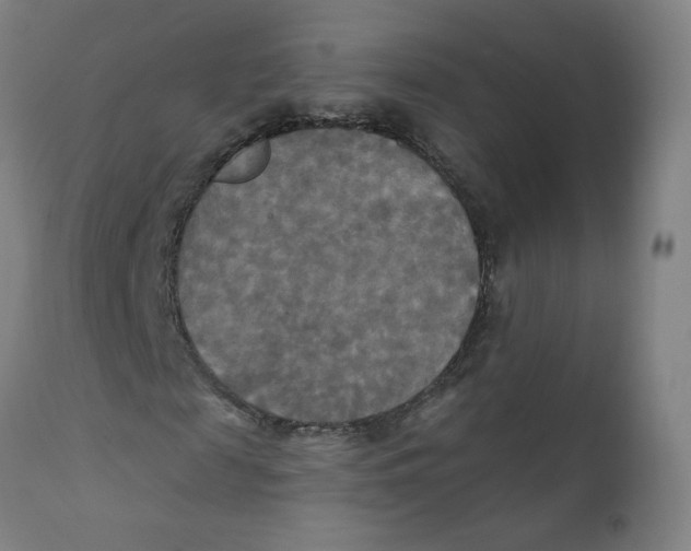X0000112200817200909041315