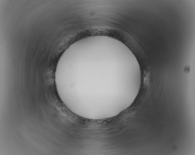 X0000112200819200909041315