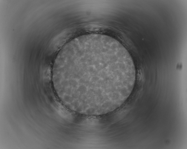 X0000112200820200909041315