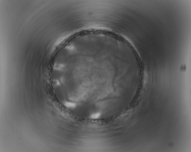 X0000112200823200909041315
