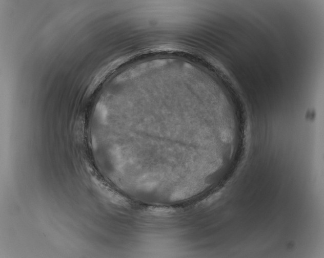 X0000112200825200909041315