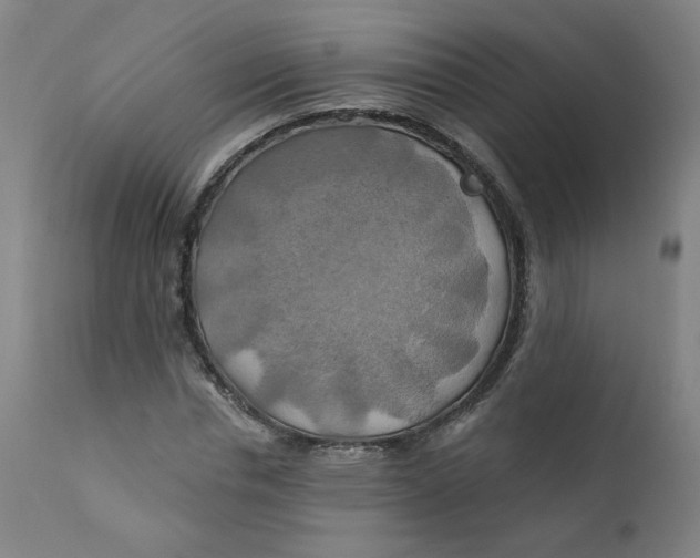 X0000112200826200909041315