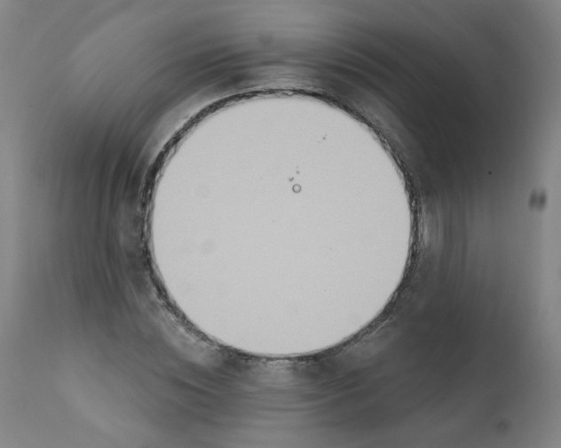 X0000112200828200909041315