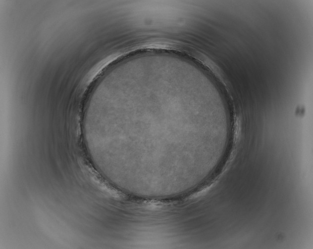 X0000112200829200909041315
