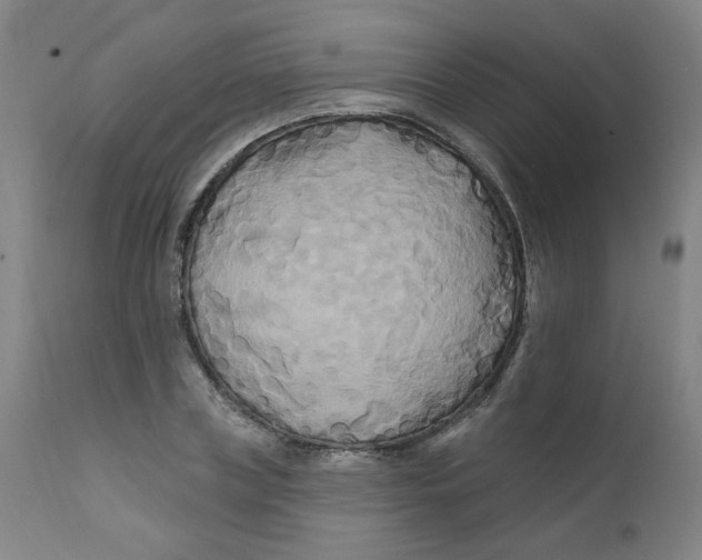 X0000112200835200909041315