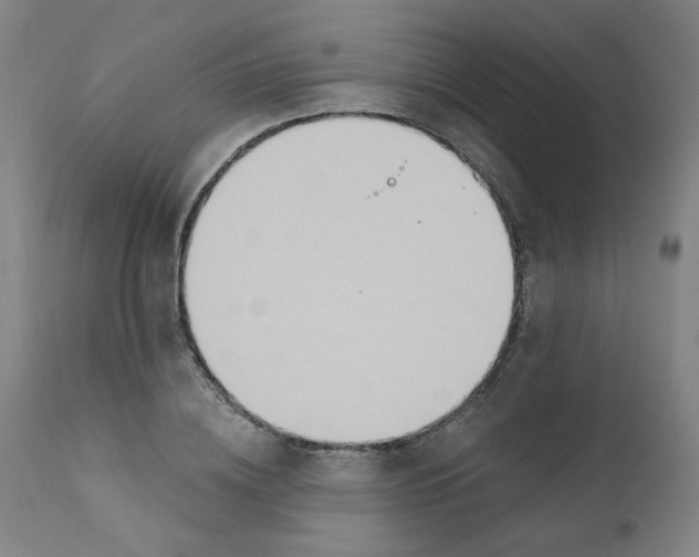 X0000112200836200909041315