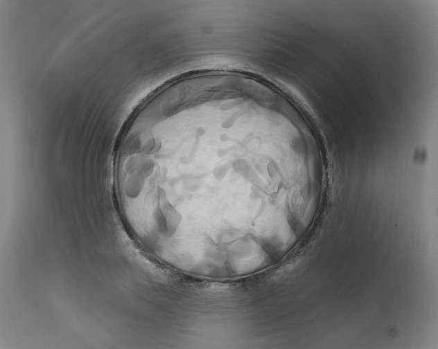 X0000112200839200909041315