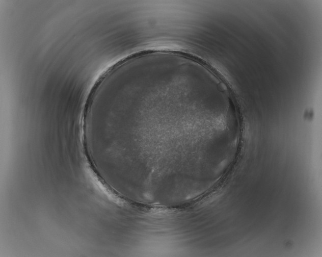 X0000112200840200909041315