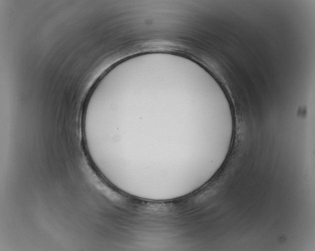 X0000112200843200909041315