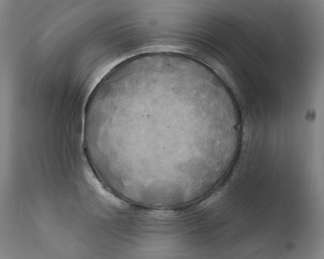 X0000112200844200909041315