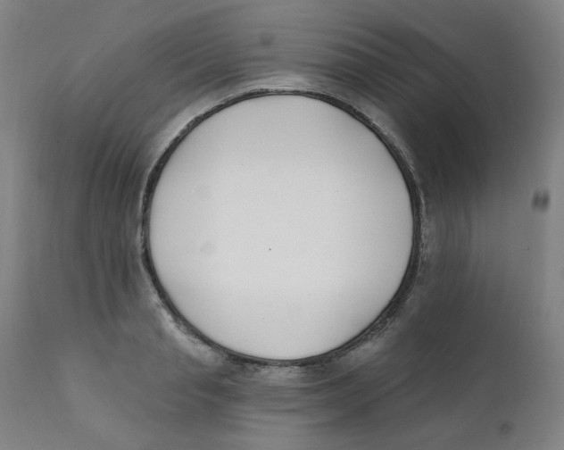 X0000112200845200909041315