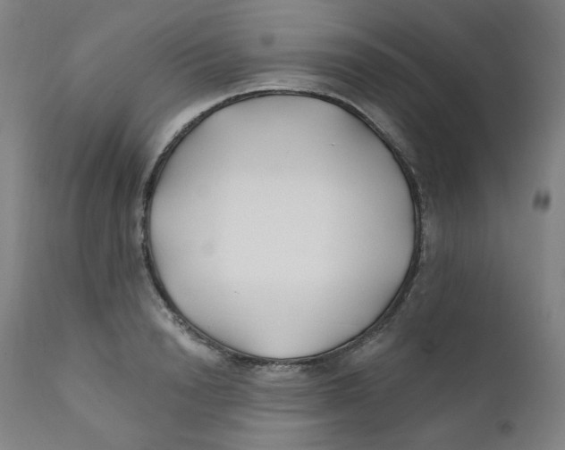 X0000112200846200909041315
