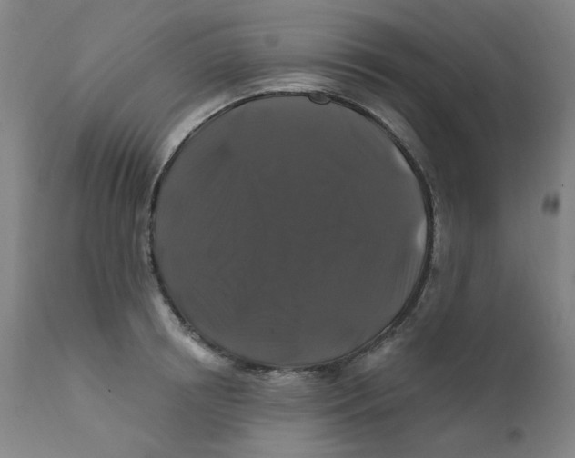 X0000112200850200909041315