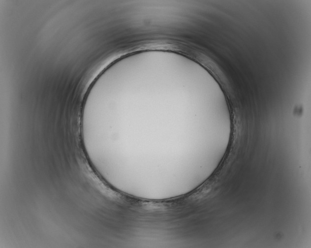 X0000112200852200909041315