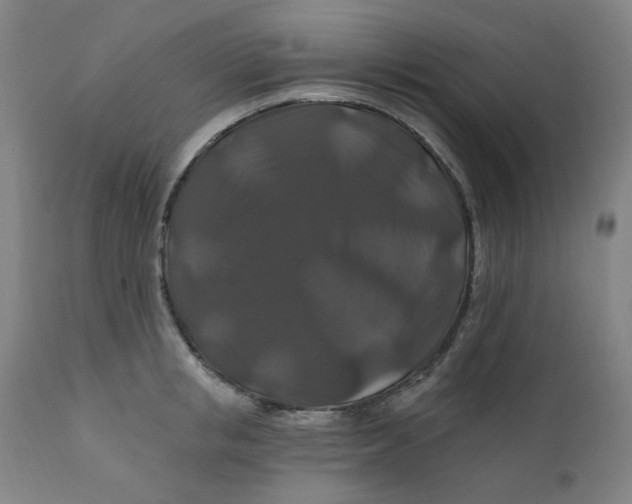 X0000112200853200909041315
