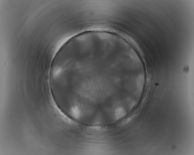 X0000112200855200909041315