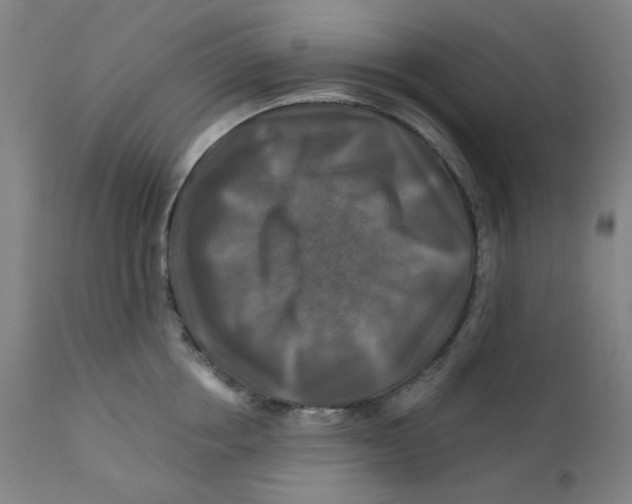 X0000112200858200909041315