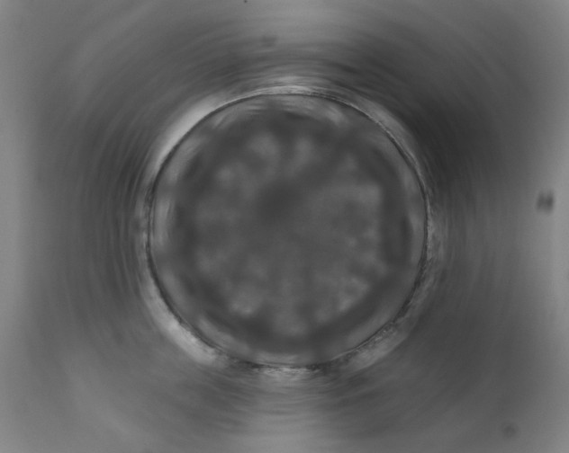 X0000112200859200909041315