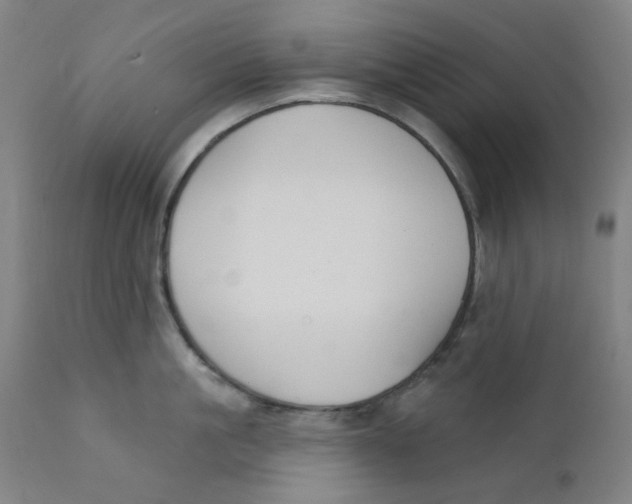 X0000112200861200909041315