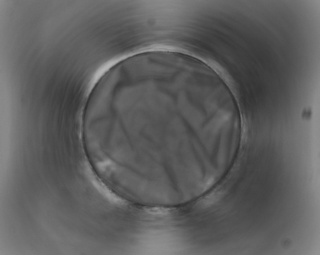 X0000112200862200909041315