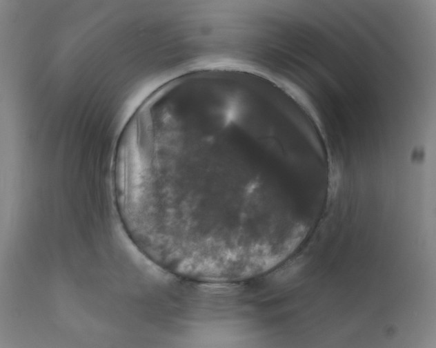 X0000112200863200909041315