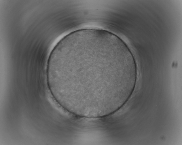 X0000112200864200909041315