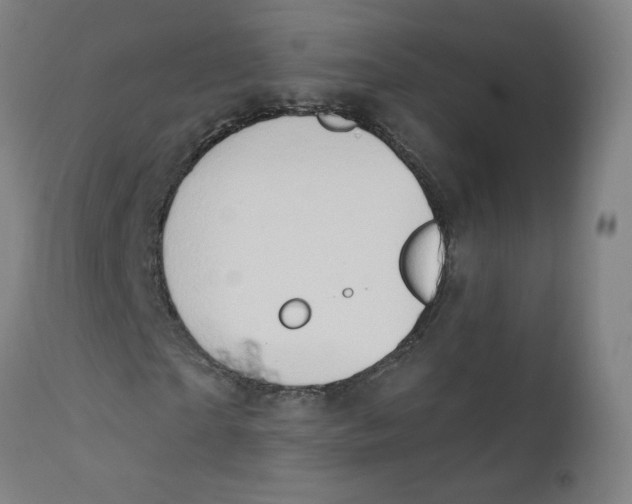 X0000112200865200909041315