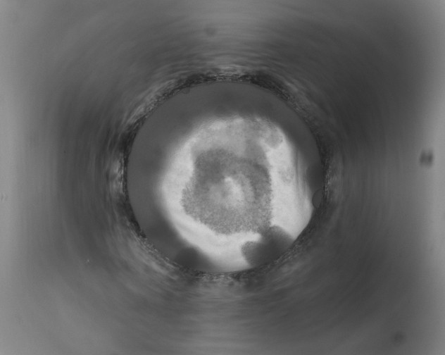 X0000112200866200909041315
