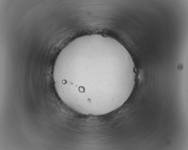 X0000112200867200909041315