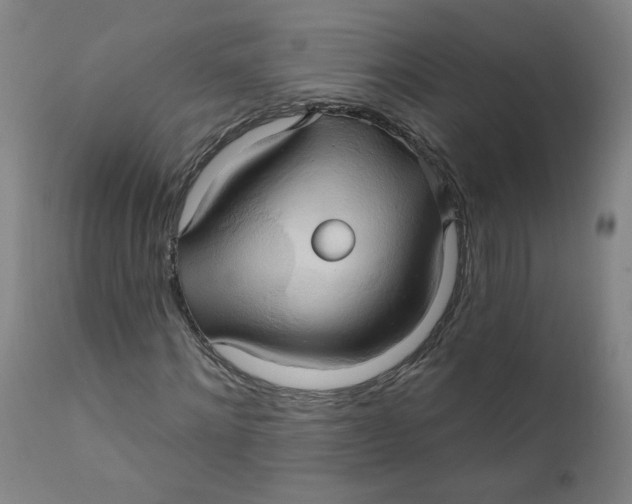 X0000112200868200909041315