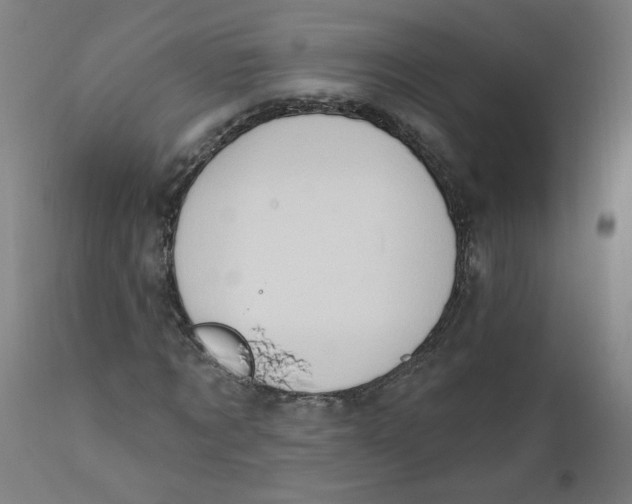 X0000112200869200909041315