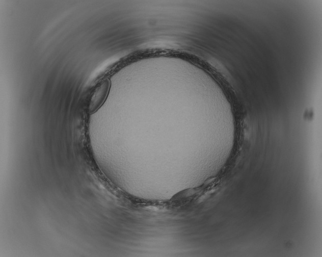X0000112200872200909041315