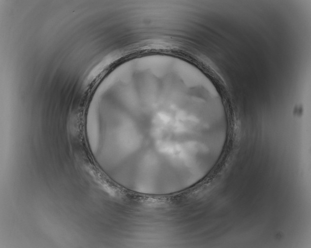 X0000112200874200909041315