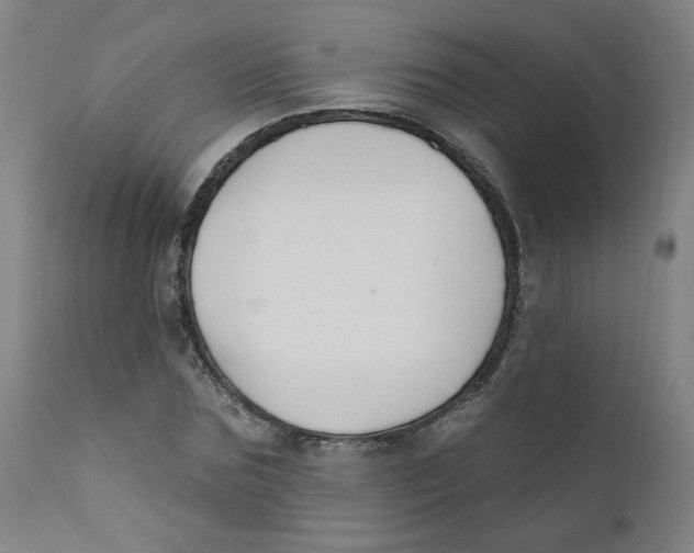 X0000112200875200909041315