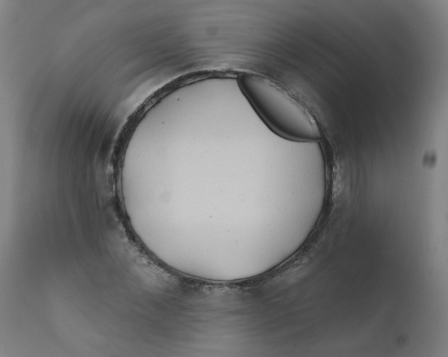 X0000112200876200909041315