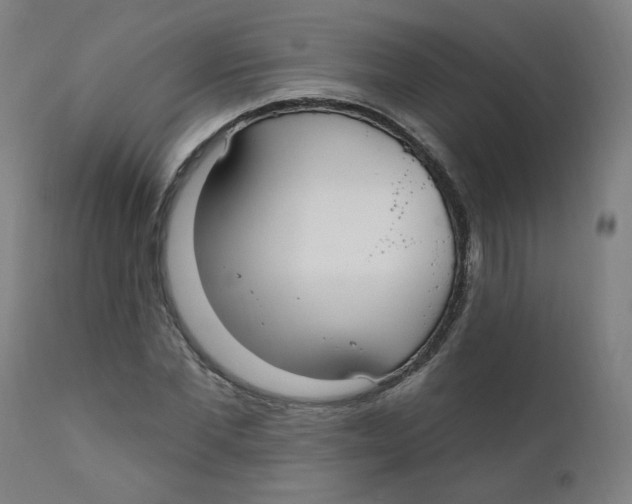 X0000112200877200909041314