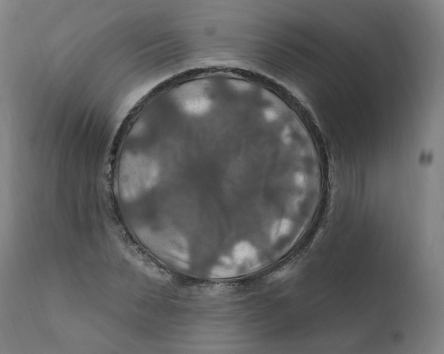 X0000112200879200909041314