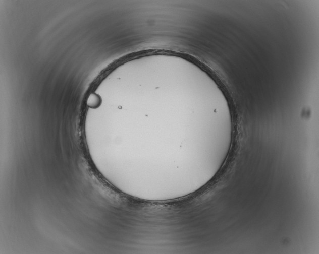 X0000112200880200909041314