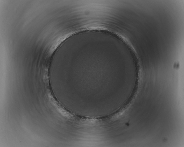 X0000112200881200909041314