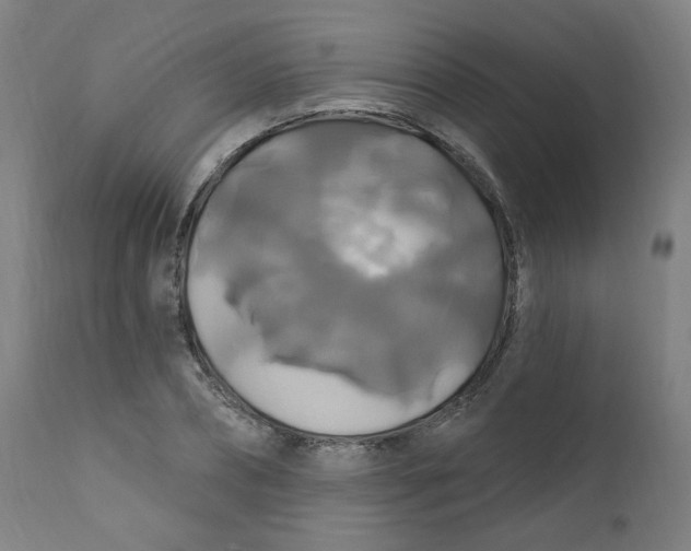 X0000112200882200909041314