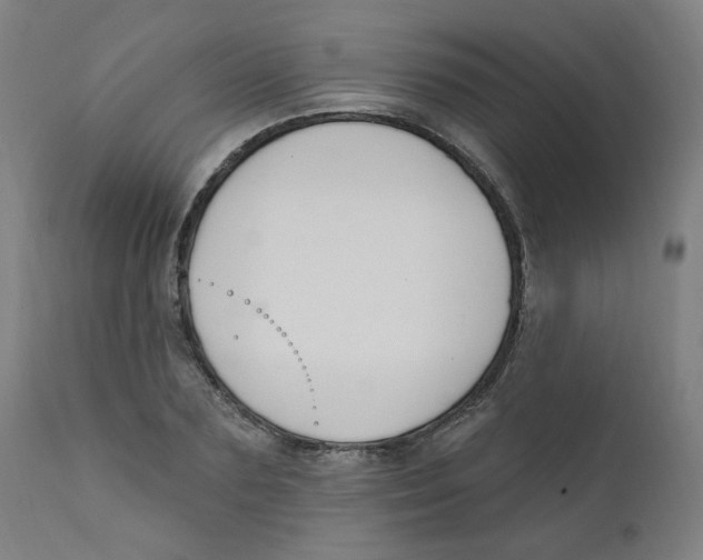 X0000112200883200909041314
