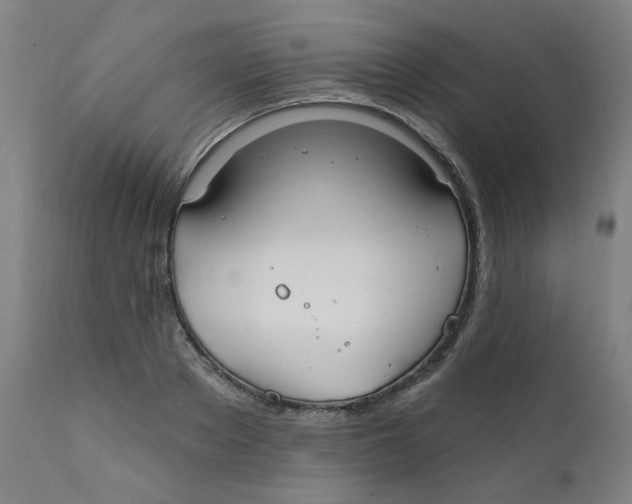 X0000112200889200909041314