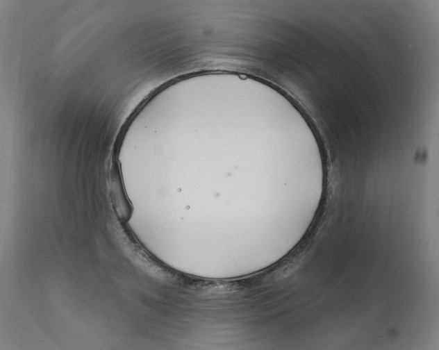 X0000112200891200909041314