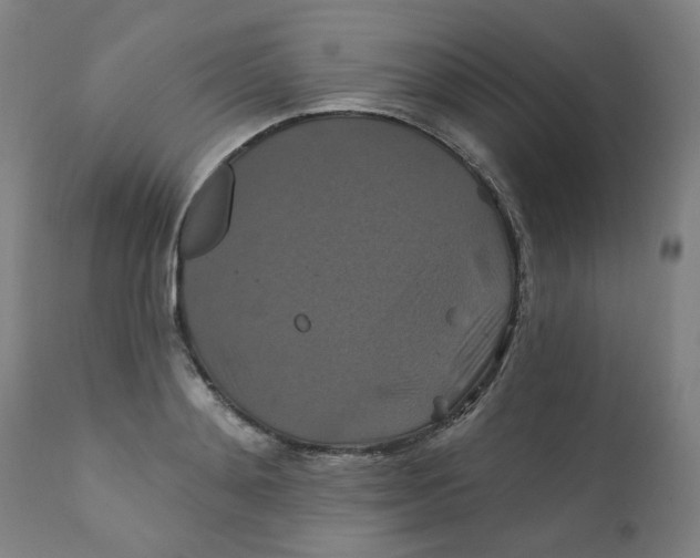 X0000112200892200909041314