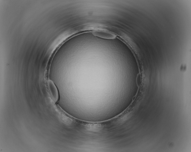 X0000112200893200909041314