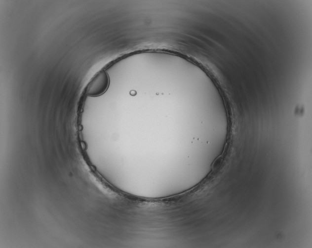 X0000112200894200909041314