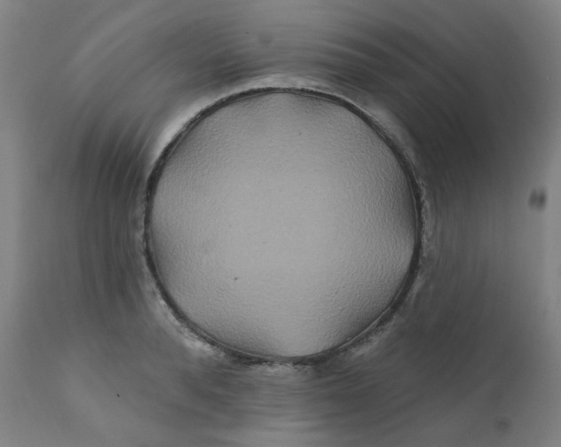 X0000112200896200909041314