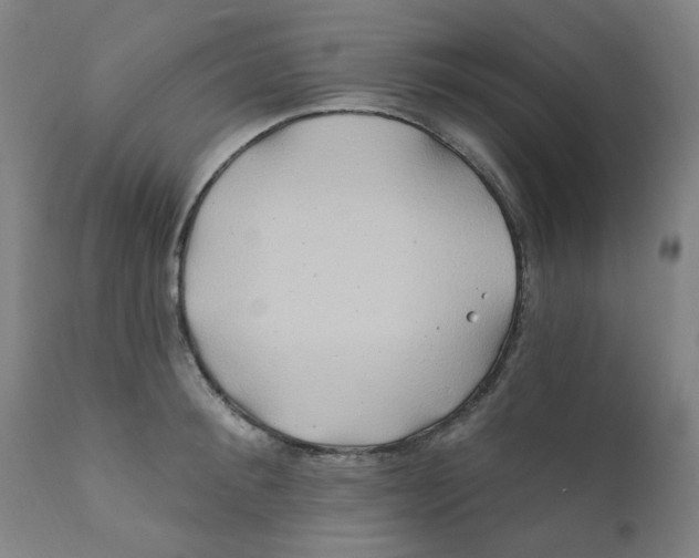 X0000112200900200909041314