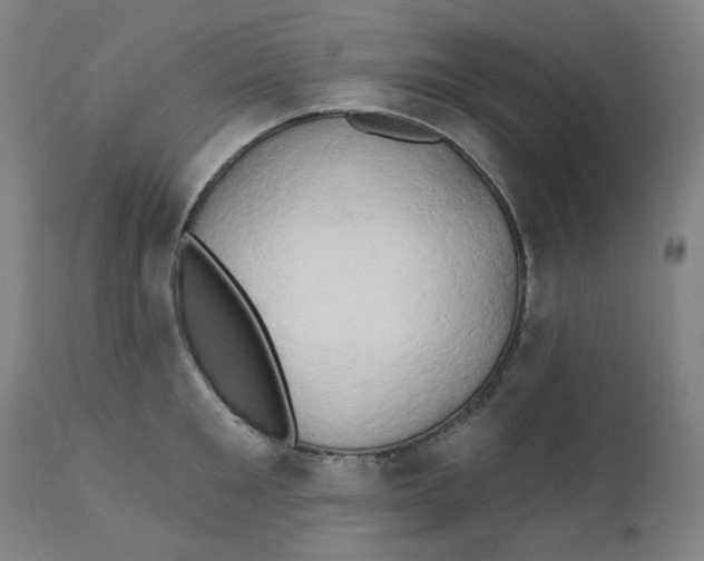 X0000112200901200909041314